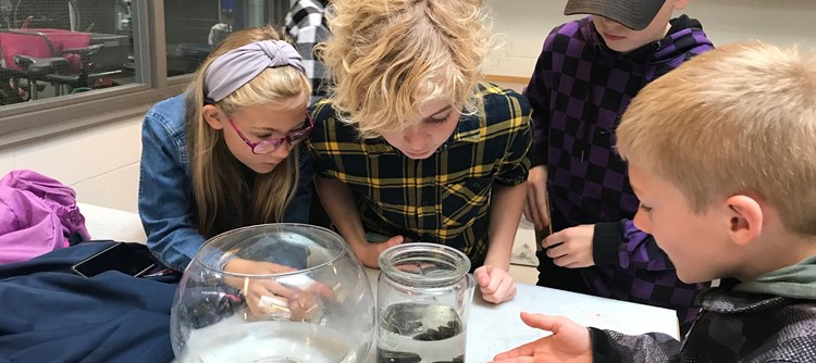 Skoleelever lærer om plast i vores havmiljø